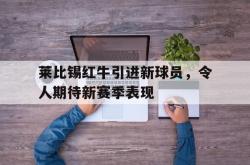 开云官方-莱比锡红牛引进新球员，令人期待新赛季表现