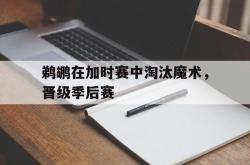 开云官方-鹈鹕在加时赛中淘汰魔术，晋级季后赛