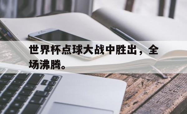 世界杯点球大战中胜出，全场沸腾。