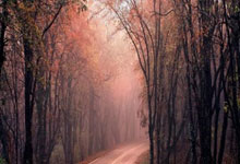 开云在线入口-东契奇重要时刻反败为胜，西班牙队带队取胜！